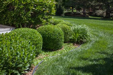 Wichita landscape design