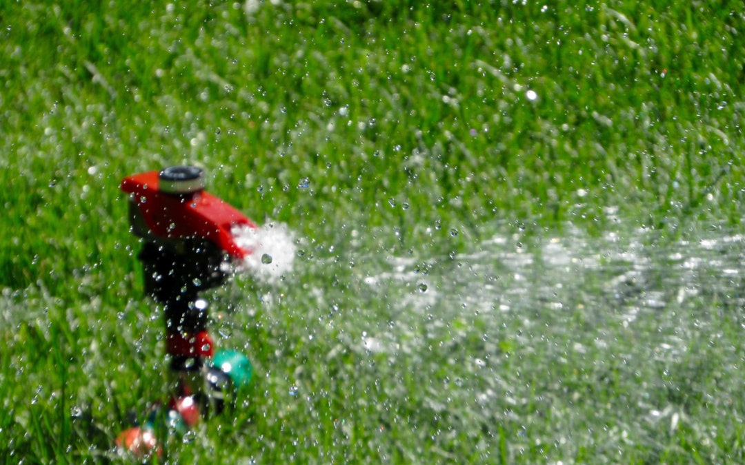 lawn sprinkler