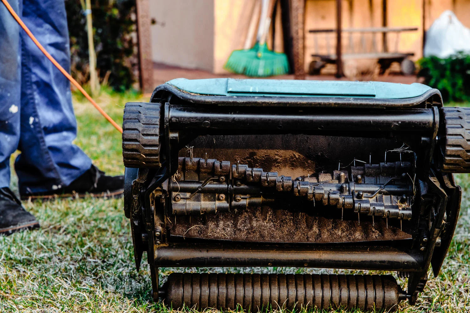 aeration vs. dethatching